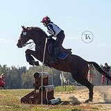 ЖЕРЕБЕЦ В ТРОЕБОРЬЕ/КОНКУР