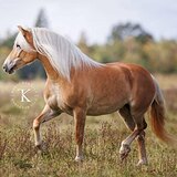 НЕВЕРОЯТНО КРАСИВАЯ 