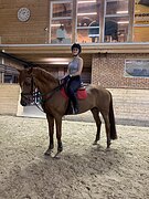 Самовоз до 120