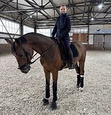 Мерин