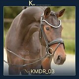 3-летняя кобыла в выездку