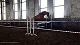 Будённовский жер. 2022 гр