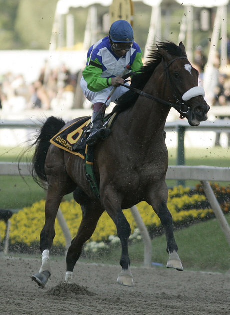 Ипподром Pimlico 2006 год, второй этап Тройной Короны - Preakness Stakes ,который стал последним забегом для жеребца.