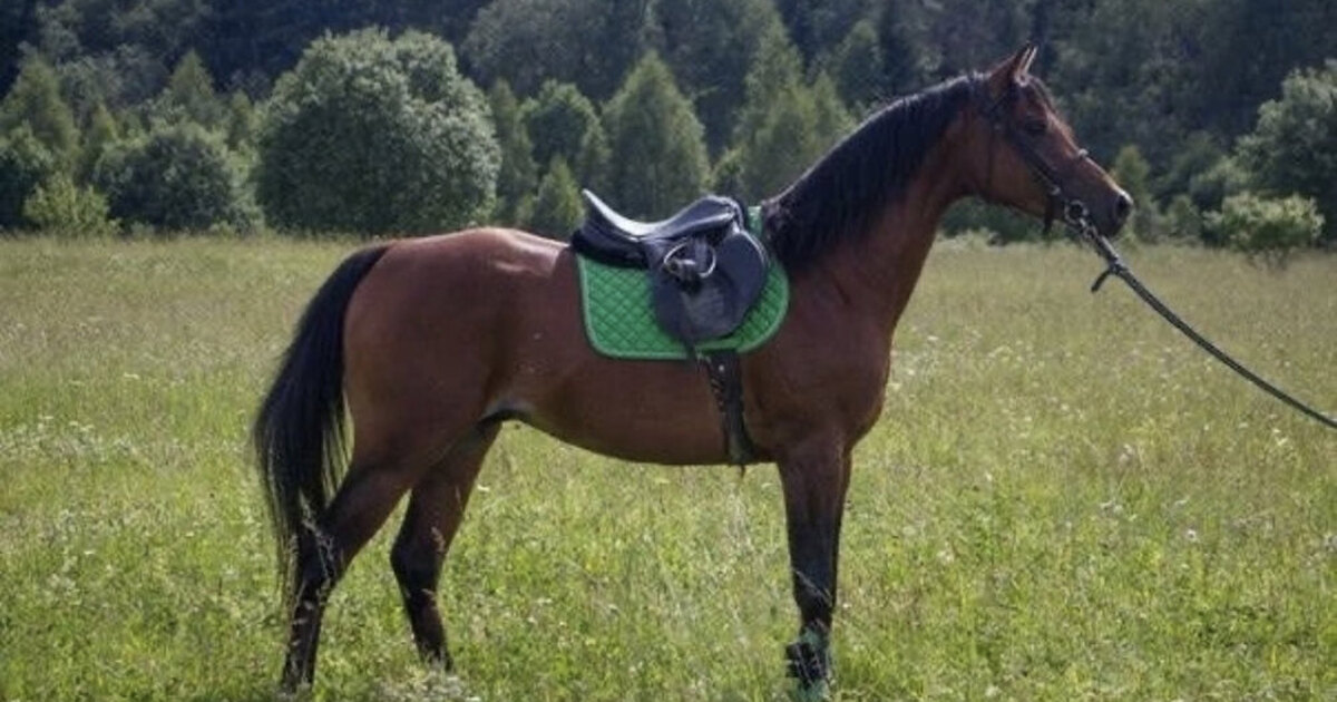 Спорт литература дети