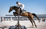 УНИВЕРСАЛЬНАЯ КОБЫЛА