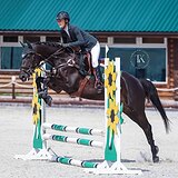 КОБЫЛА 6 ЛЕТ 165 СМ В ХОЛКЕ