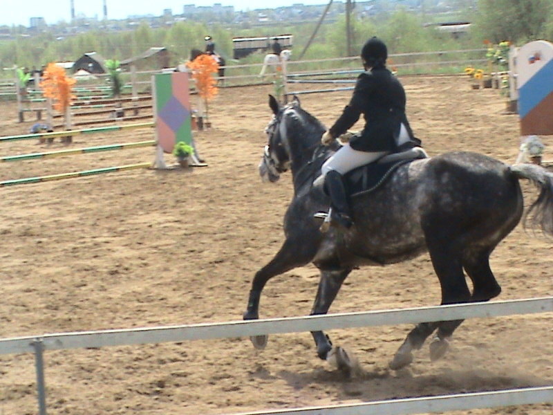 Соревнования по конуру в КСК "Всадник", 11.05.2008