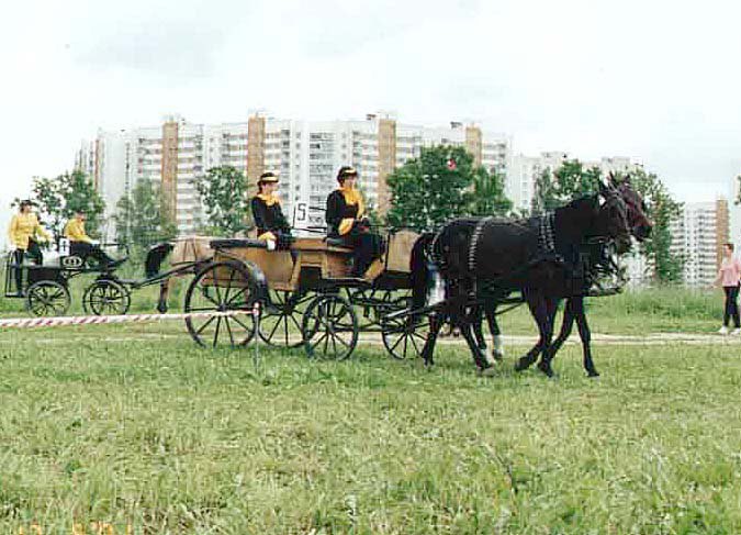 Открытый Чемпионат Москвы. Дрессаж (Тверская обл.).  Драйвер - Майорова..