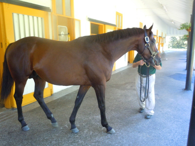 на Claiborn Farm