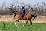 ДЛЯ ДЕТСКОГО СПОРТА