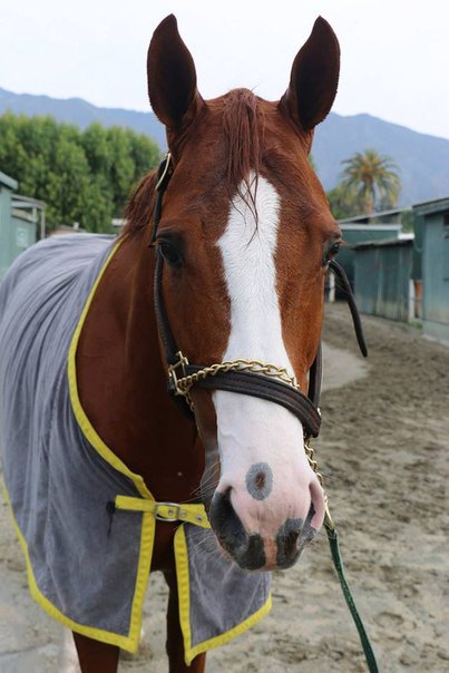 Santa Anita Park