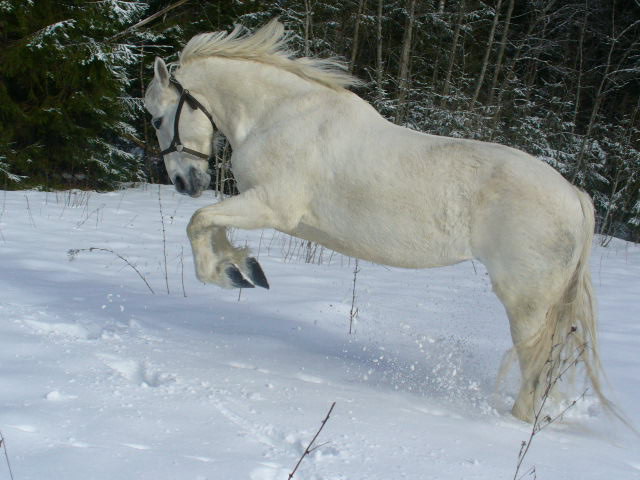 Прогулка