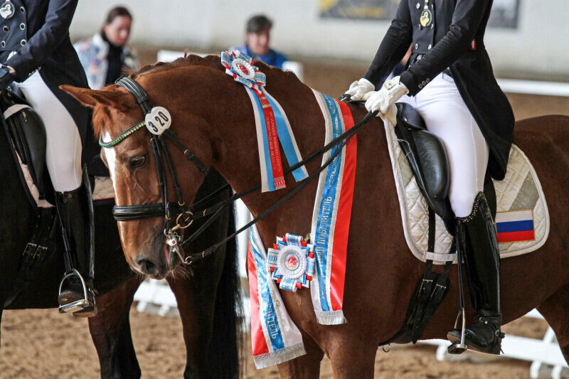 Калхавес де Нора