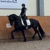 ИМПОРТ ИЗ НИДЕРЛАНДОВ