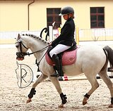 Пони в спорт