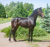 Кросс-фриз 2023 гр