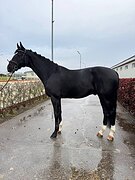 Срочная продажа!