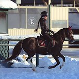 ЭЛЕМЕНТЫ FEI ПОНИ ЕЗД