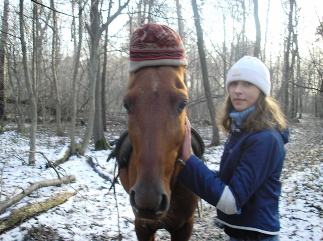 Холодно, даже лошади нужна шапка-ушанка!;)