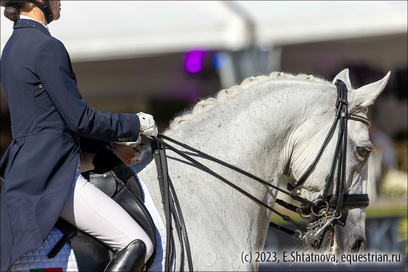 Jenny Rauman / Damasco - команда Португалии продолжает выступать на лошадях своей национальной породы - лузитано