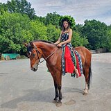 Кобыла пони-класс