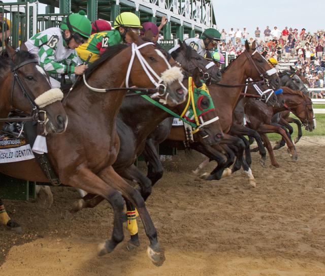 Тройной Корны - Preakness Stakes 2011 год, ипподром Pimlico.