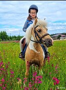 универсальная орловка