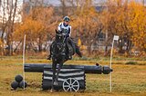 Мерин