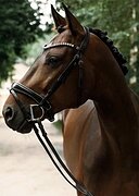 ВСЕ ЭЛЕМЕНТЫ ЮНОШЕЙ, МАРШРУ