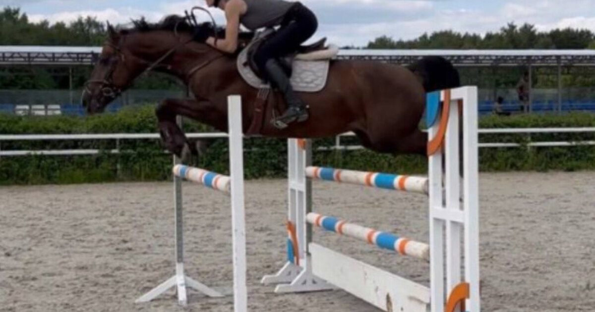 Sport купить в москве