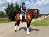 Для ребенка или любителя
