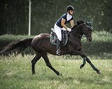 Универсальный • цена сниже
