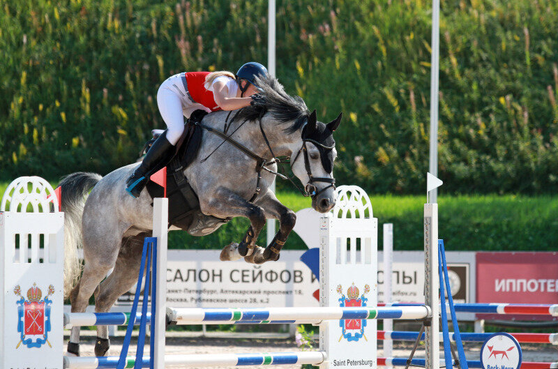 БОРДО-16 и Бардашевич Алиса