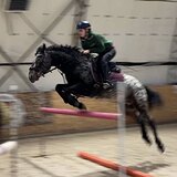 ЧУБАРЫЙ ПОНИ-КЛАСС