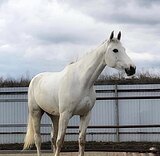 Маршруты 100 • 1/2 импорт