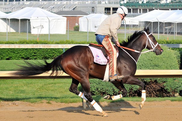 Ипподром Churchill Downs 2012 год, подготовка к первой Жемчужине Тройной Тиары - Longines Kentucky Oaks