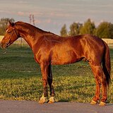 НЕОБЫКНОВЕННО КРАСИВЫЙ