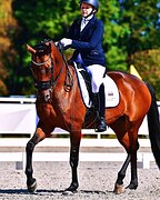 Выездковая кобыла