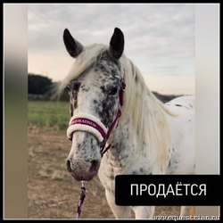 300 000 На Новый Год