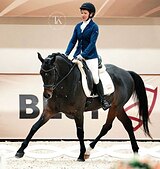 ГНЕДОЙ МЕРИН 5 ЛЕТ