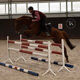 УНИВЕРСАЛЬНЫЙ ЖЕРЕБЕЦ 