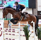 УЧИТЕЛЬ В КОНКУР