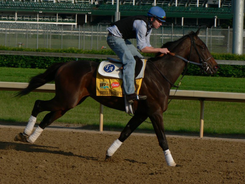 Ипподром Churchill Downs 2011 год, подготовка к первому этапу Тройной Короны - Kentucky Derby.