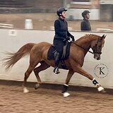 ЗНАЕТ ЭЛЕМЕНТЫ МП И СП