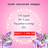 Купим конкурную лошадку за 