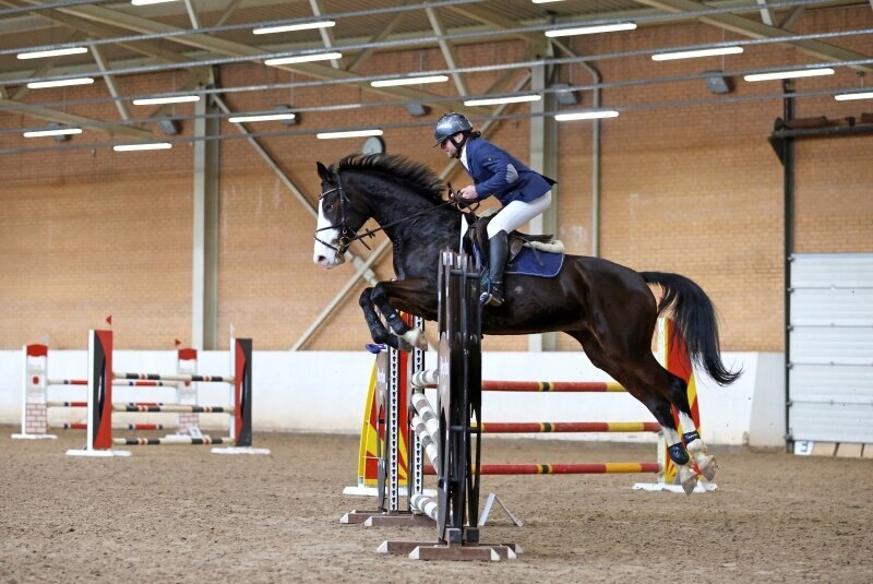 КАРТАХЕНА М-14 и Потоцкий Даниил