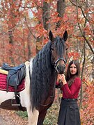 рослый пегий красавец