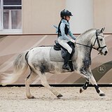 В КОНКУР И ВЫЕЗДКУ