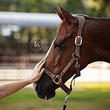 СТАРТОВЫЙ ОПЫТ ДО 100 СМ 