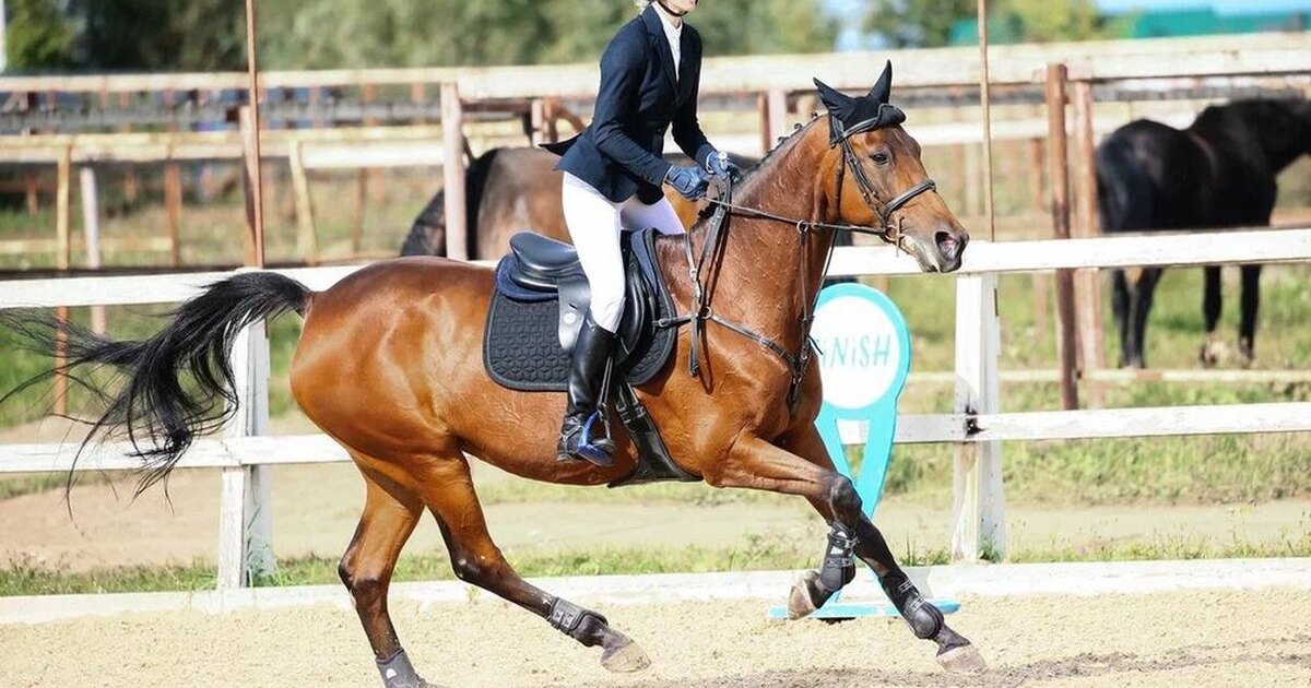 Спорт на лошадях